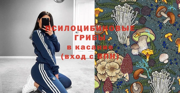 амф Дмитровск