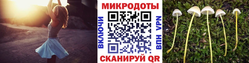 Галлюциногенные грибы ЛСД  Купить где  Скопин 